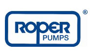 Ӎ(gu)RoperX݆úRoperݗUüȫr(ji)4%